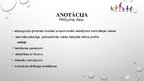 Prezentācija 'No psihoaktīvām vielām atkarīgu bērnu piesaistīšanās sociālās rehabilitācijas pr', 4.