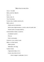 Konspekts 'Mājturības stundas plāns', 1.