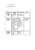 Konspekts 'Mājturības stundas plāns', 2.