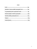 Referāts 'Pamatkapitāls kā SIA dibināšanas būtiska sastāvdaļa', 2.