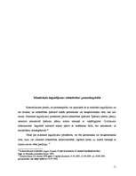 Referāts 'Pamatkapitāls kā SIA dibināšanas būtiska sastāvdaļa', 11.