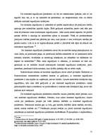 Referāts 'Pamatkapitāls kā SIA dibināšanas būtiska sastāvdaļa', 13.