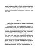 Referāts 'Pamatkapitāls kā SIA dibināšanas būtiska sastāvdaļa', 17.