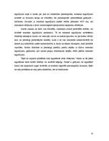 Referāts 'Pamatkapitāls kā SIA dibināšanas būtiska sastāvdaļa', 19.