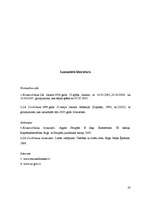 Referāts 'Pamatkapitāls kā SIA dibināšanas būtiska sastāvdaļa', 20.