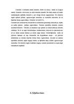 Referāts 'Būvmateriāli', 4.