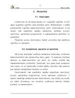 Eseja 'Kvalitātes vadība', 4.