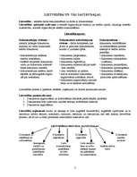 Referāts 'Lietvedība', 2.