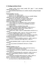 Referāts 'Kuldīgas pilsētas domes datorizācijas plāns', 5.