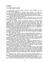 Referāts 'Kuldīgas pilsētas domes datorizācijas plāns', 9.