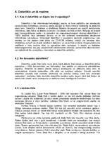 Referāts 'Kuldīgas pilsētas domes datorizācijas plāns', 11.