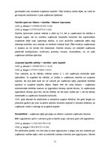 Diplomdarbs 'Mārketinga attīstības plāna izstrāde uzņēmumā SIA "DC"', 31.