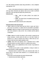 Diplomdarbs 'Mārketinga attīstības plāna izstrāde uzņēmumā SIA "DC"', 39.