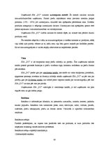 Diplomdarbs 'Mārketinga attīstības plāna izstrāde uzņēmumā SIA "DC"', 68.