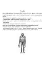 Referāts 'Kā radās cilvēks, pēc Čarlza Darvina teorijas', 3.