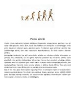 Referāts 'Kā radās cilvēks, pēc Čarlza Darvina teorijas', 6.