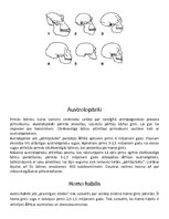 Referāts 'Kā radās cilvēks, pēc Čarlza Darvina teorijas', 7.