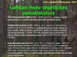 Prezentācija 'Mežu tipoloģija', 4.