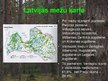 Prezentācija 'Mežu tipoloģija', 8.