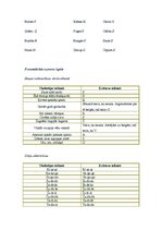 Prakses atskaite 'Bērna runas un valodas izpēte pirmsskolas vecumā', 5.