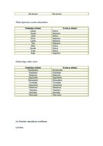 Prakses atskaite 'Bērna runas un valodas izpēte pirmsskolas vecumā', 6.