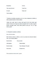 Prakses atskaite 'Bērna runas un valodas izpēte pirmsskolas vecumā', 9.