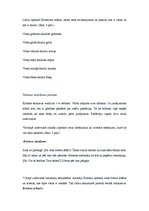 Prakses atskaite 'Bērna runas un valodas izpēte pirmsskolas vecumā', 10.