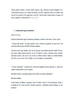 Prakses atskaite 'Bērna runas un valodas izpēte pirmsskolas vecumā', 11.