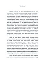 Prakses atskaite 'Bērna runas un valodas izpēte pirmsskolas vecumā', 14.