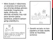 Prezentācija 'Māris Subačs', 4.