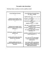 Konspekts 'Normatīvo aktu hierarhija', 1.