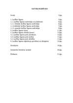 Referāts 'Laulību līgums kā saistību tiesību priekšmets', 2.