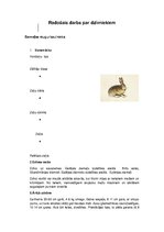 Konspekts 'Pelēkā zaķa un nātru raibeņa apraksts', 1.
