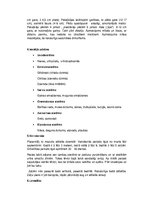 Konspekts 'Pelēkā zaķa un nātru raibeņa apraksts', 2.