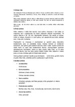 Konspekts 'Pelēkā zaķa un nātru raibeņa apraksts', 4.