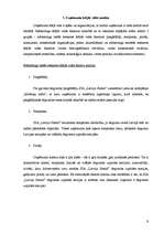 Referāts 'SIA "Latvija Statoil"', 9.