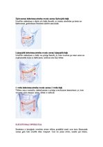 Konspekts 'Stoma', 3.