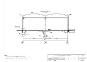 Paraugs 'Studiju darbs priekšmetā “Ģeotehnikas pamatkurss” Pamatu un pamatņu projektēšana', 39.