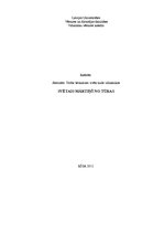 Referāts 'Svētais Mārtiņš no Tūras', 1.