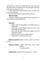 Referāts 'Konstruktīvās konfliktu rīcības taktikas darbā', 4.