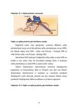 Referāts 'Latvija kā tranzītvalsts loma Baltijas reģionā', 19.