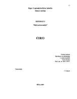 Referāts 'Eiro', 1.