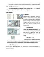 Referāts 'Eiro', 7.