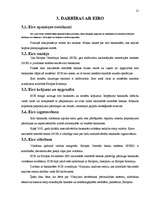 Referāts 'Eiro', 11.