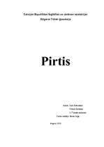 Referāts 'Pirtis', 1.