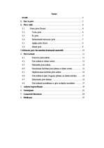 Referāts 'Pirtis', 2.