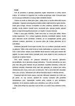 Referāts 'Pirtis', 3.