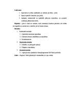 Referāts 'Pirtis', 4.