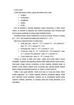 Referāts 'Pirtis', 5.