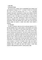 Referāts 'Pirtis', 6.